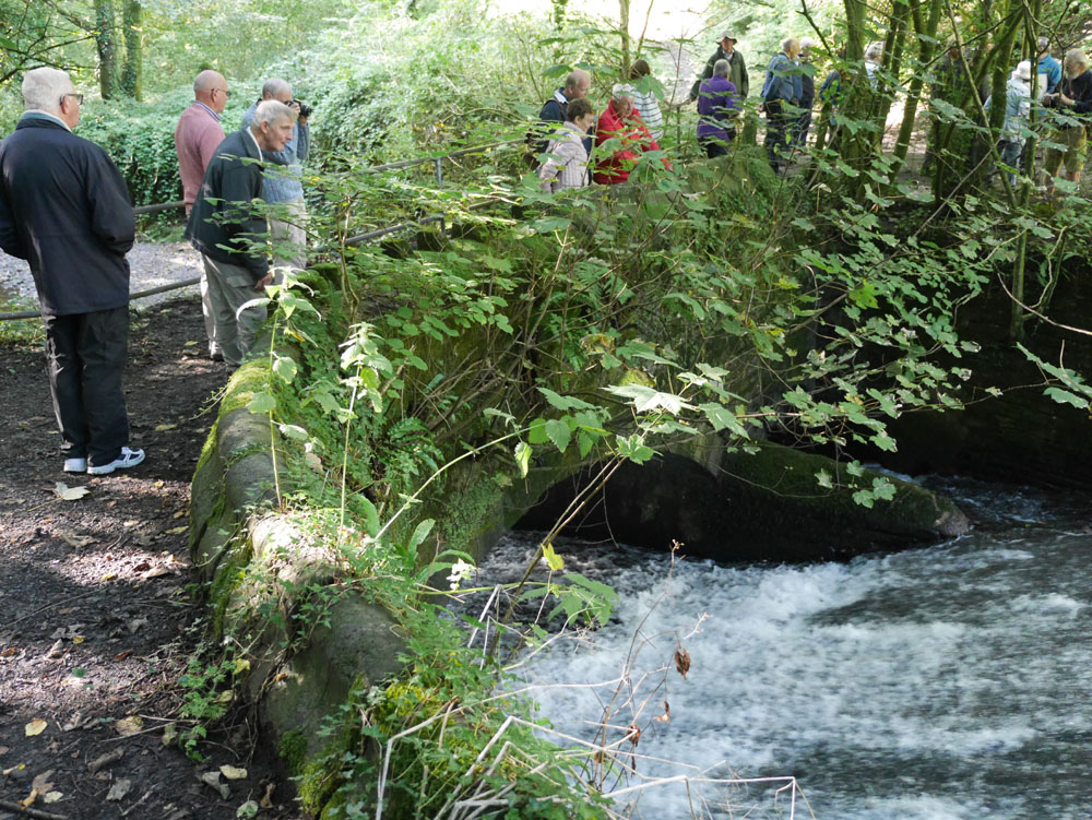  Neath Abbey Ironworks and River Clydach